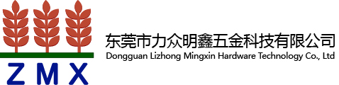 Dongguan Lizhong Mingxin Hardware Technology Co., Ltd 东莞市力众明鑫五金科技有限公司